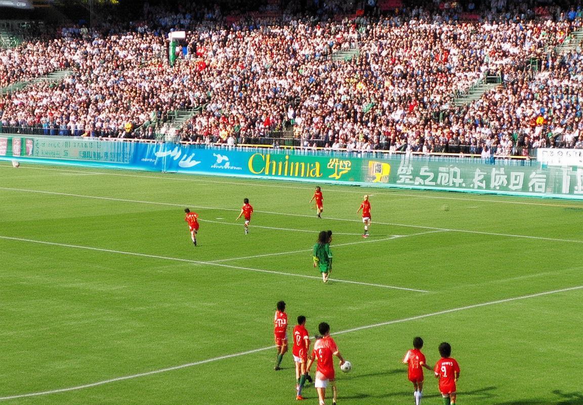 2011年中爱友谊赛：中国足球实战检验与成长历程